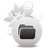 Category - DENTISTS – ORTHODONTISTS